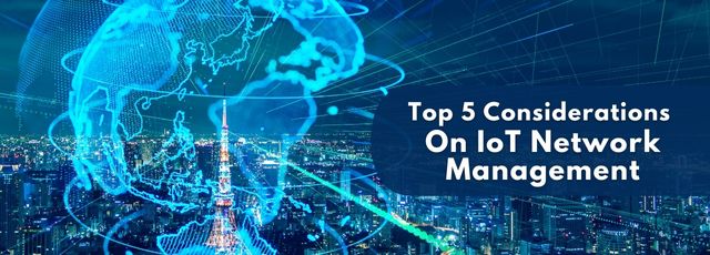 IoT Network Management